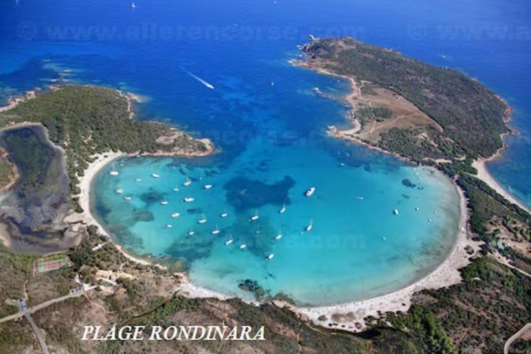 Mesanges En Bord De ! Apartment Lucciana (Corsica)
