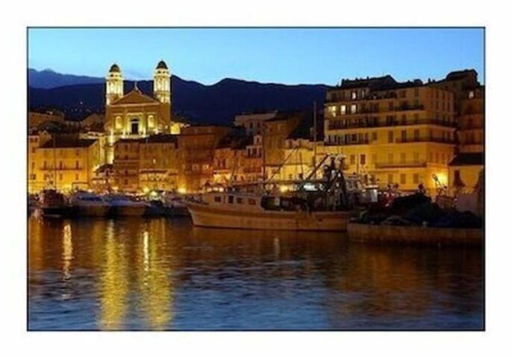 Mesanges En Bord De ! * Lucciana (Corsica)