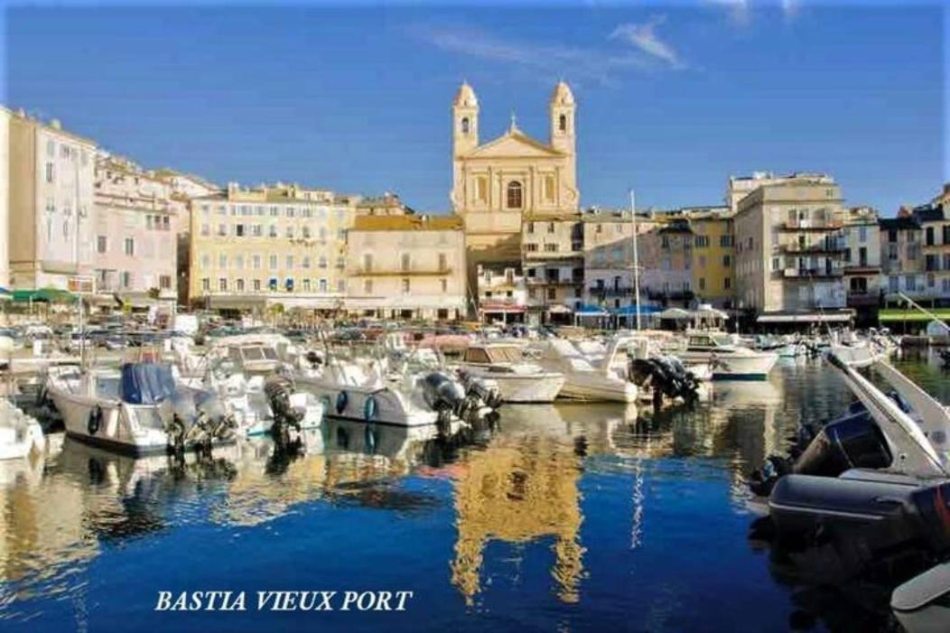 Mesanges En Bord De ! Apartment Lucciana (Corsica)