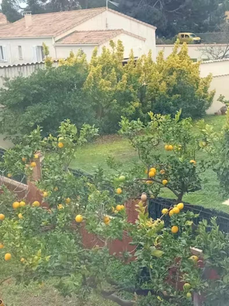 Mesanges En Bord De !