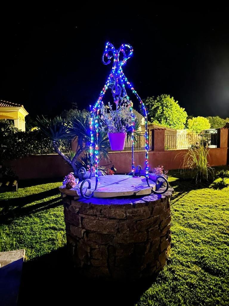 Mesanges En Bord De ! * Lucciana (Corsica)
